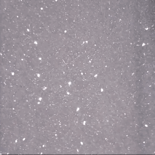 Bulk | Twinkle Ice Glitter | 2, 5, 10 or 20 Lb.