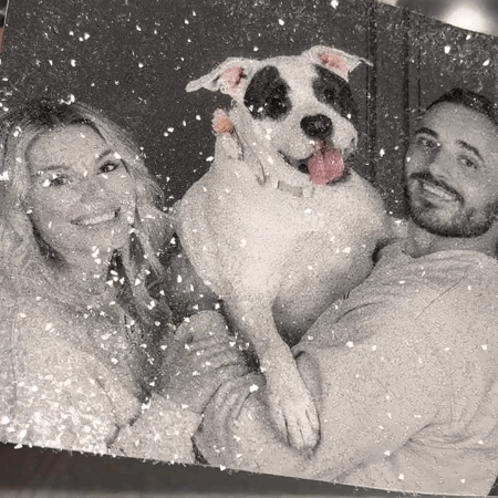 DazzlePets | DazzlePrints Fully Encrusted Glitter Photo