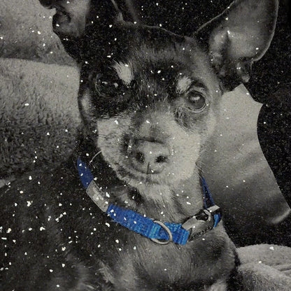 ColorPop and B/W Sparkly Glitter Photo Art Print