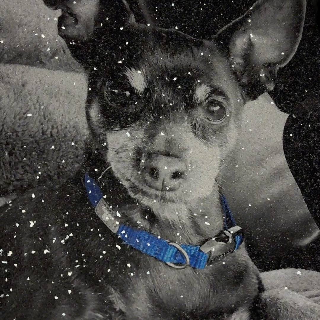 3146B394-6481-4764-BC48-7AFE2270BCA8 (2).jpg