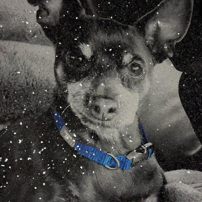 3146B394-6481-4764-BC48-7AFE2270BCA8 (2).jpg