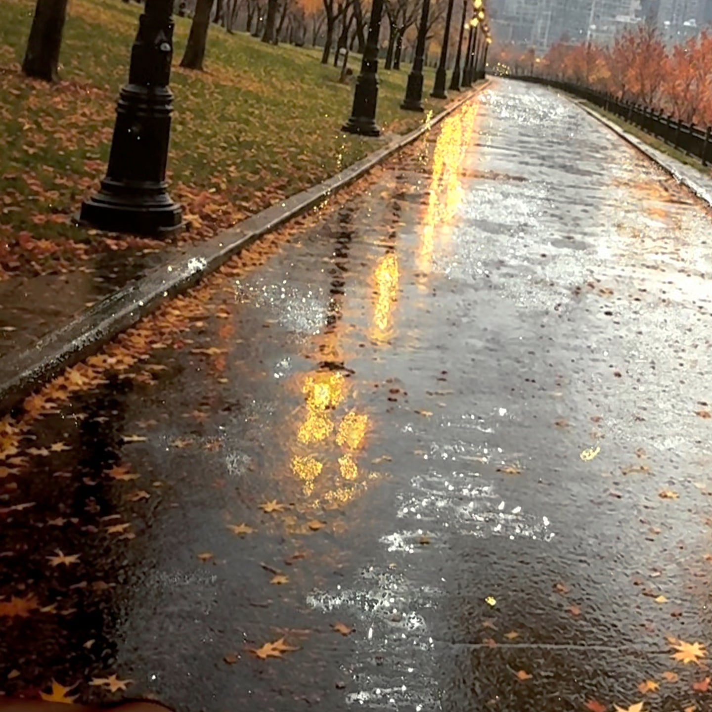 Limited Release | Rainy Autumn Morning Glitter Print