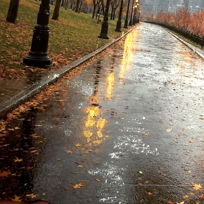 Limited Release | Rainy Autumn Morning Glitter Print