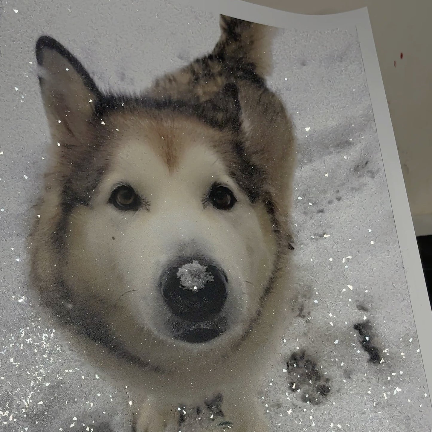 DazzlePets | DazzlePrints Fully Encrusted Glitter Photo