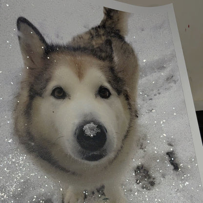 DazzlePets | DazzlePrints Fully Encrusted Glitter Photo