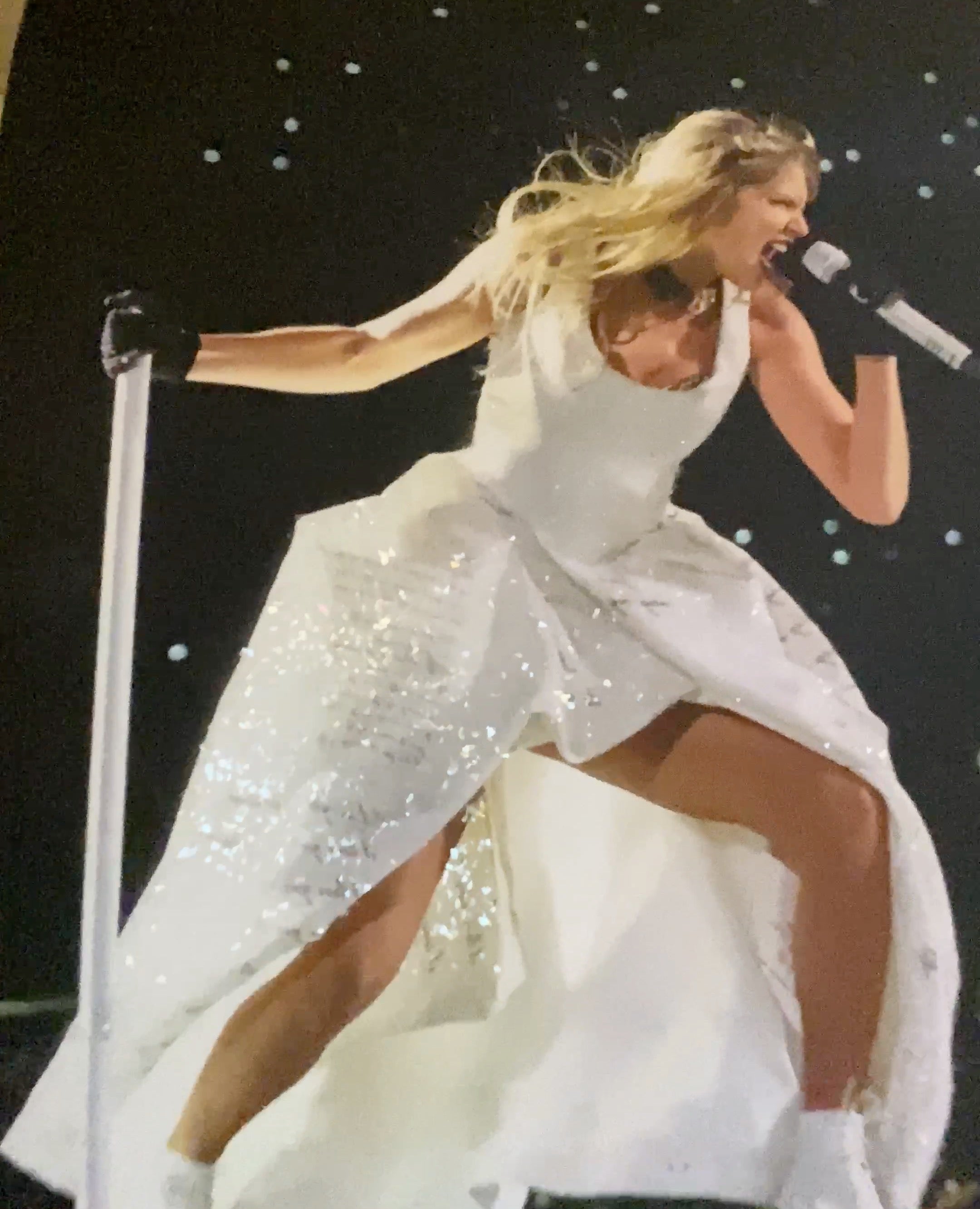 Embellish Your Taylor Swift Eras Tour or Other Favorite Concert Photos