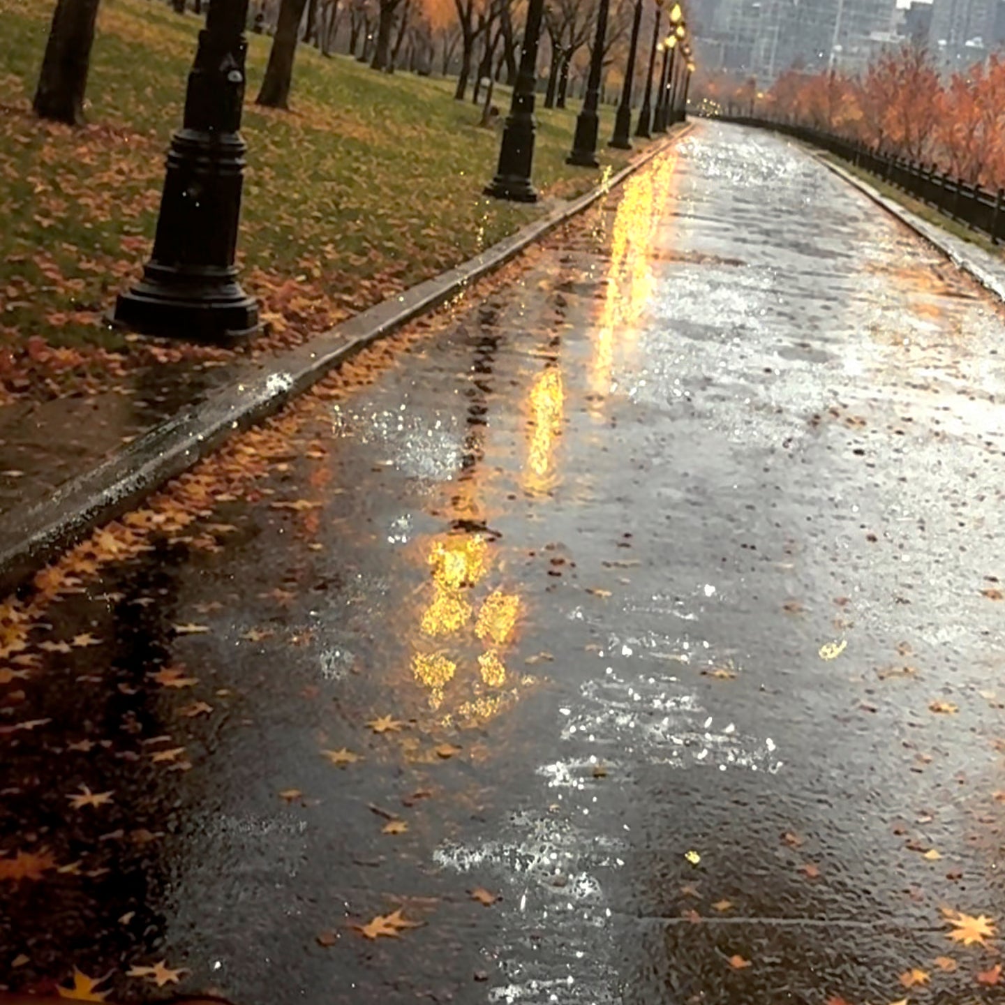 Limited Release | Rainy Autumn Morning Glitter Print