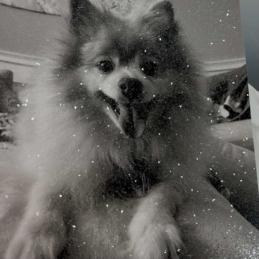 DazzlePrints | DazzlePets Fully Encrusted Glitter Photo