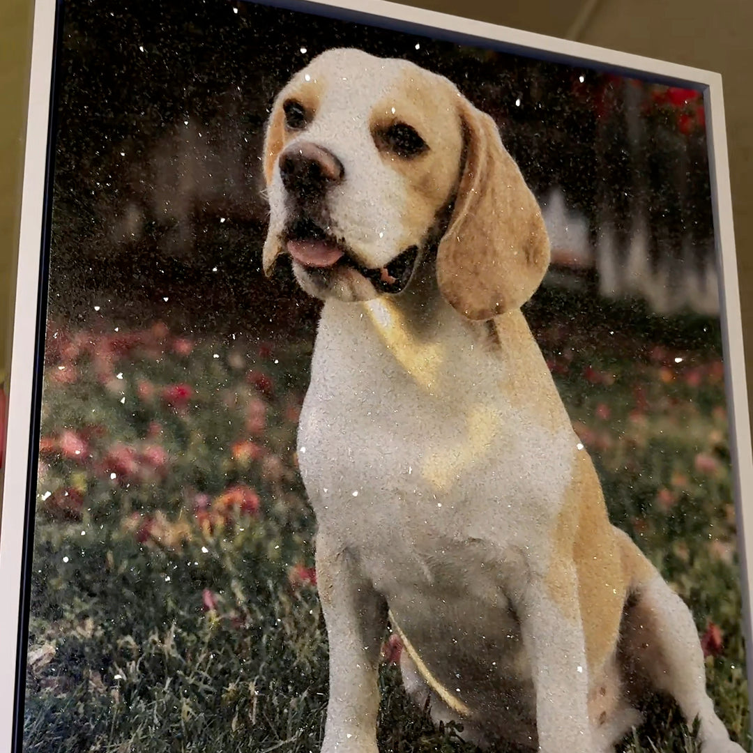 DazzlePrints | DazzlePets
