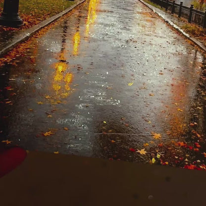 Limited Release | Rainy Autumn Morning Glitter Print